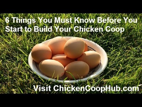 Chicken Coop Plans - 6 Critical Tips You Must Know