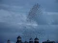 Broken-Social-Scene-