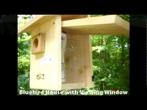 how to provide nesting material for birds