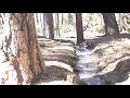 My Back Yard