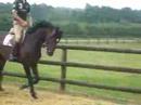 Joost Siemerink met Londondance (v. Lauries Crusador xx)