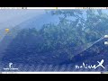 Molinux 3.2 - Videotutorial VirtualBox (instalación) Molinux 3.2 - Videotutorial VirtualBox (instalación)