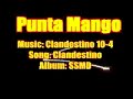 Surf Punta Mango