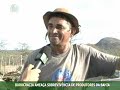 Cisternas vazias; 15 animais mortos, por causa da sede; e pessoas sem opção, a não ser deixar suas terras. Esse é a situação de alguns sertanejos do norte baiano, que estão abandonando suas terras por falta de condições de sobrevivência. Um poço de 1m² com água barrenta e salobra é a única fonte para mais de dez famílias. Reportagem: Wllyssys Wolfgang Imagens/ edição de imagens: Pedro Angelo Mais informações: www.canalrural.com.br/nordesterural