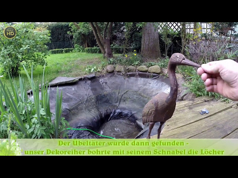 TEICH gelocht - der REIHER wars