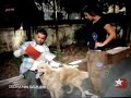Zeliahn?n G�zleri-Akt�r K�pek Dost-Star Tv 4.K?s?m