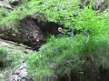 Fear and loathing in Bovec (Slovenia) Fear and loathing in Bovec (Slovenia)