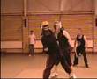 evolution stick fighting