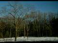 Another Day Out My Window