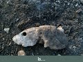 Szeretném meg?rizni a helyet, ahol élek... Szeretném meg?rizni a helyet, ahol élek...