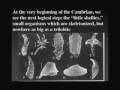 Michael Shermer: Why Darwin Matters