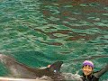 dolphin show part 2 seoul grand park