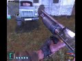 Stalker - Psy dog in Cordon Stalker - Psy dog in Cordon