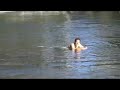 Eildon Swim