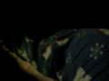 videos de DRUNK ASS BITCHES