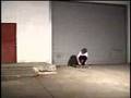 lakai fully flared - mike mo capaldi