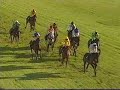 Singer & Friedlander National Trial 1997/1998 - Uttoxeter Singer & Friedlander National Trial 1997/1998 - Uttoxeter