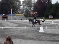 CIC**** Dressage Nicolas Touzaint