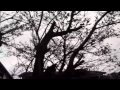 (10/15)風で釣りにいけぬ日は、風を撮り、大魚を釣った福田蘭童を読む - YouTube