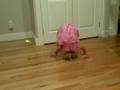Interpretive Dance -- Maggie