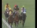 videos de Realtor wins at Hyderabad
