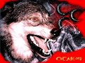 Thumbnail #3