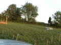 Nokomis Jumping Nokomis Jumping