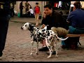A Texan in London - Tour of the City