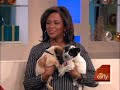 Ask it Early: Pets and the Holidays