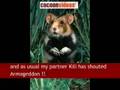 Raggot The Hamster AFP Forbidden News Bulletin