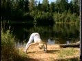 Просмотр видео