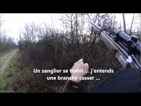 Battue - battue aux sangliers en alsace avec deux tirs.