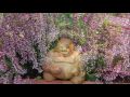 EskimoBuddha (PreSeason).wmv