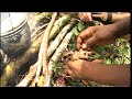 West Papua - Expedition reality