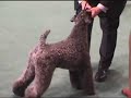 Cliquez pour voir la vid�o