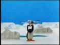 pingu e il gabbiano - pingu and the gull (ep. 30)