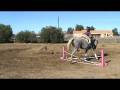 videos de 20081129025754.mpg