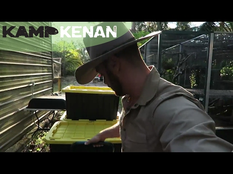 YouTube reptile video