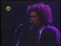 no va más  vivo  picasso 1999   andrés calamaro