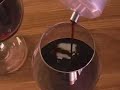 ravi - Instant wine chiller