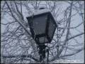 videos de Nevada en Valdemoro 9 de Enero de 2009