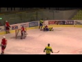 HC ZUBR Přerov - HC Slezan Opava  3:4 po sn