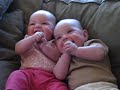 Twin Babies Laughing at Fake Sneezes
