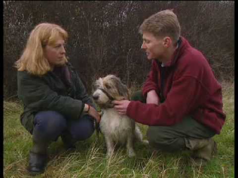 stopping your dog from pulling - Hector is a dog who likes pushing his owner around on a country walk. Luckily, the animal experts at BBC show 'Barking Mad' have some tips to help this pet d...
