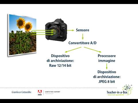 Formato RAW e JPEG: caratteristiche e differenze Formato RAW e JPEG: caratteristiche e differenze
