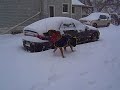 Ben the Dog in the snow Ben the Dog in the snow