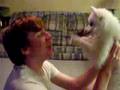 Adorable puppy pawing