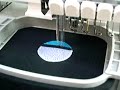 BS7H 2007 Embroidery Polos by IZ7AUH