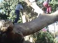 parkour oujda