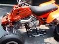 BANSHEE FEVER 2  FOR SALE